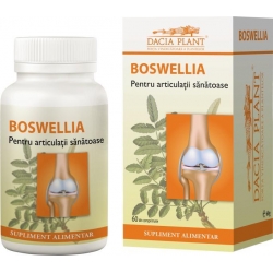 Boswellia - pentru mentinerea sanatatii articulatiilor, ligamentelor si muschilor